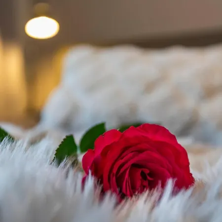 Vasko Luxurious Suites, Soilu * Рованиеми