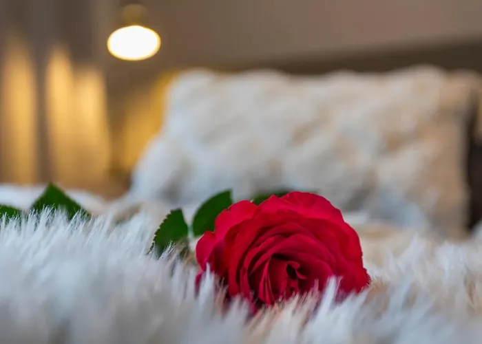 Vasko Luxurious Suites, Soilu * Rovaniemi